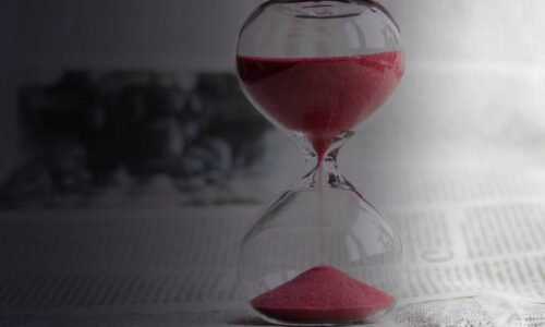 GESTIONE DEL TEMPO